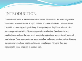 INTRODUCTION
Plant disease result in an annual estimate loss of 10 to 15% of the world major crop
with direct economic losses of up to hundred of billion of dollars. Of these disease
70 to 80 % cause by pathogenic fungi. Plant pathogenic fungi have adverse effect
on crop growth and yield. Silver nanoparticles synthesised from bacterial are
applied to agriculture showing good potential result agianst insects, fungi, bacterial,
and viruses. Fusarium species are important plant pathogens causing various diseases
such as crown rot, head blight, and scab on cereal grains (72), and they may
occasionally cause infection in animals (32).
 