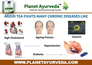 Numerous Health Benefits Of Arjun Tea - Terminalia Arjuna | PPTX