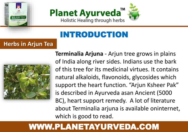 Numerous Health Benefits Of Arjun Tea - Terminalia Arjuna | PPT