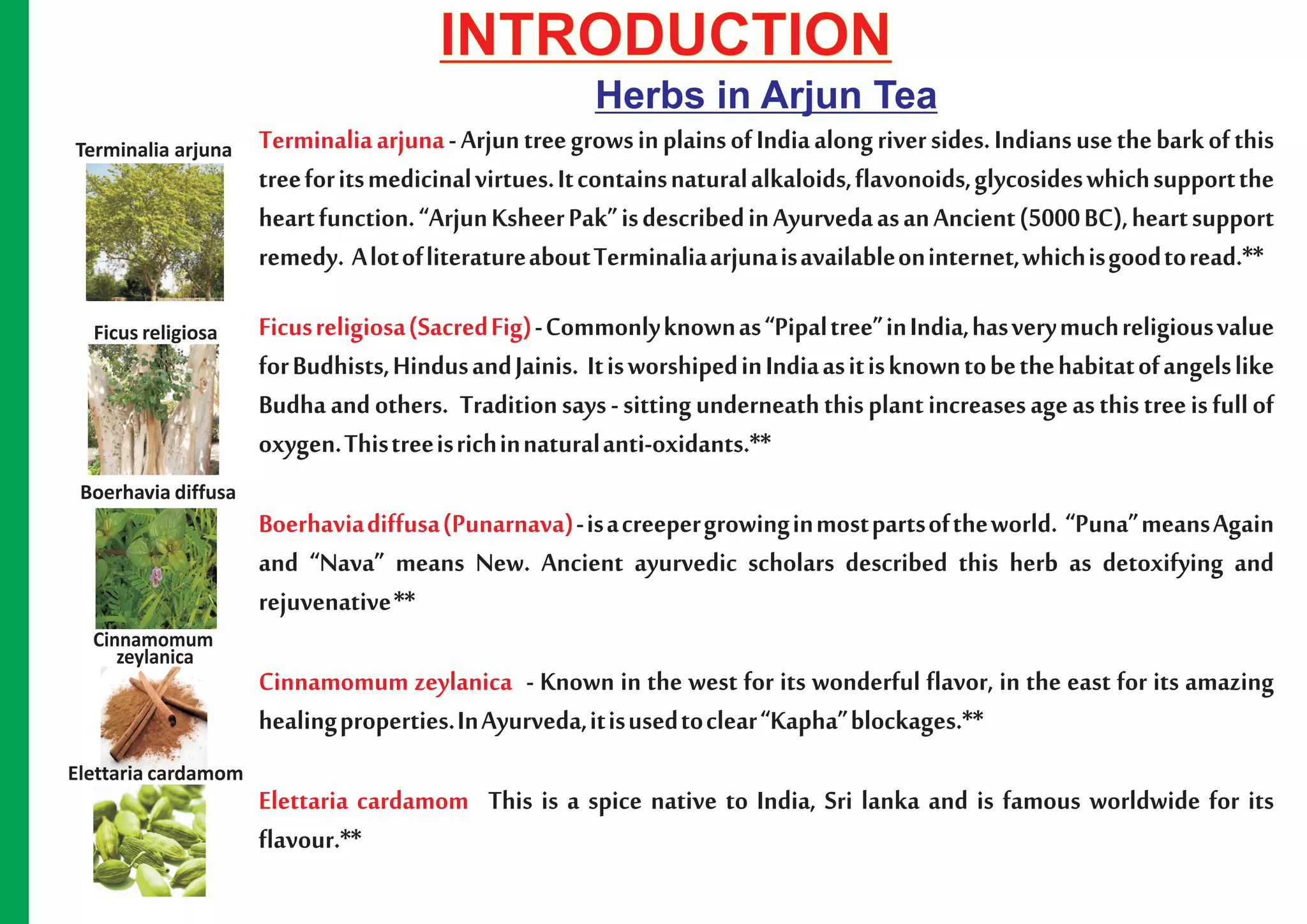 INTRODUCTION
                                                          Herbs in Arjun Tea
Terminalia arjuna    Terminalia arjuna - Arjun tree grows in plains of India along river sides. Indians use the bark of this
                     tree for its medicinal virtues. It contains natural alkaloids, flavonoids, glycosides which support the
                     heart function. “Arjun Ksheer Pak” is described in Ayurveda as an Ancient (5000 BC), heart support
                     remedy. A lot of literature about Terminalia arjuna is available oninternet, which is good to read.**
  Ficus religiosa    Ficus religiosa (Sacred Fig) - Commonly known as “Pipal tree” in India, has very much religious value
                     for Budhists, Hindus and Jainis. It is worshiped in India as it is known to be the habitat of angels like
                     Budha and others. Tradition says - sitting underneath this plant increases age as this tree is full of
                     oxygen. This tree is rich in natural anti-oxidants.**
 Boerhavia diffusa
                     Boerhavia diffusa (Punarnava) - is a creeper growing in most parts of the world. “Puna” means Again
                     and “Nava” means New. Ancient ayurvedic scholars described this herb as detoxifying and
                     rejuvenative **
  Cinnamomum
     zeylanica
                     Cinnamomum zeylanica - Known in the west for its wonderful flavor, in the east for its amazing
                     healing properties. In Ayurveda, it is used to clear “Kapha” blockages.**
Elettaria cardamom
                     Elettaria cardamom This is a spice native to India, Sri lanka and is famous worldwide for its
                     flavour.**
 