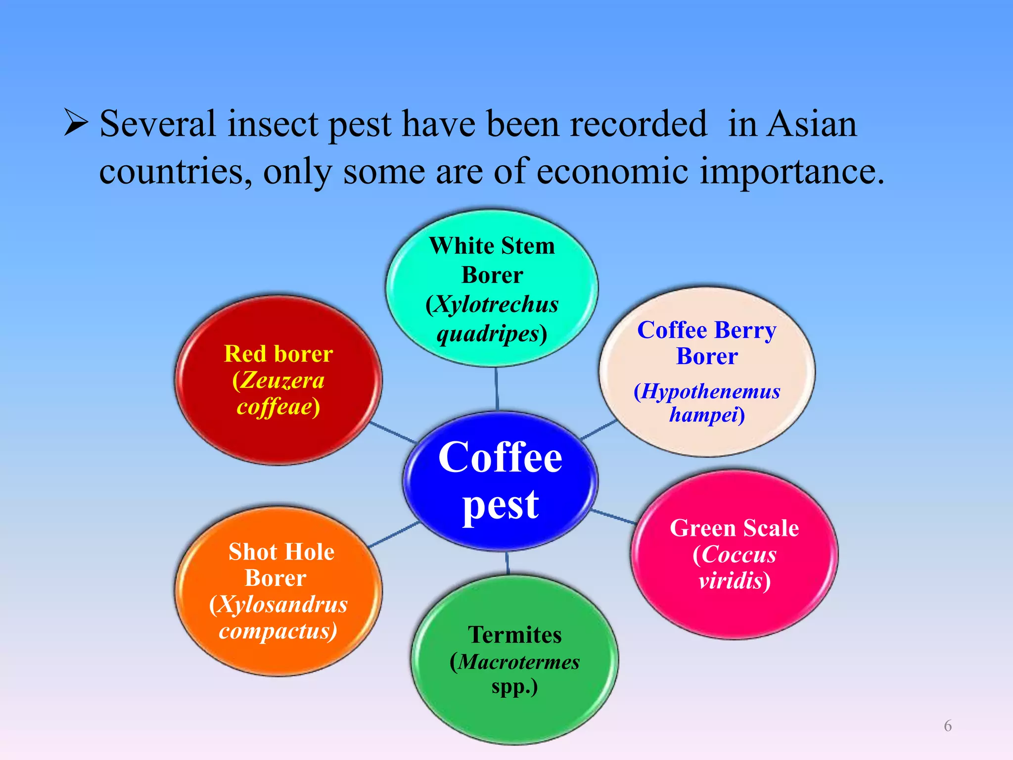 bioecology and management of coffee white stem borer by arjun | PPTX