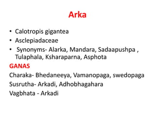 Arka
• Calotropis gigantea
• Asclepiadaceae
• Synonyms- Alarka, Mandara, Sadaapushpa ,
Tulaphala, Ksharaparna, Asphota
GAN...