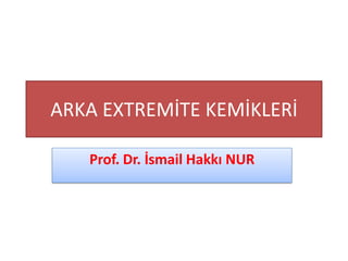 ARKA EXTREMİTE KEMİKLERİ
Prof. Dr. İsmail Hakkı NUR
 