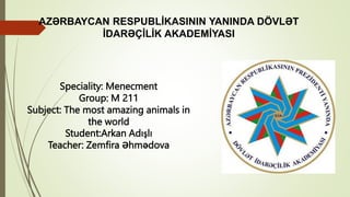 AZƏRBAYCAN RESPUBLİKASININ YANINDA DÖVLƏT
İDARƏÇİLİK AKADEMİYASI
Speciality: Menecment
Group: M 211
Subject: The most amazing animals in
the world
Student:Arkan Adışlı
Teacher: Zemfira Əhmədova
 