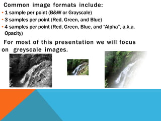 Common image formats include:
▪ 1 sample per point (B&W or Grayscale)
▪ 3 samples per point (Red, Green, and Blue)
▪ 4 samples per point (Red, Green, Blue, and “Alpha”, a.k.a.
Opacity)
For most of this presentation we will focus
on greyscale images.
 