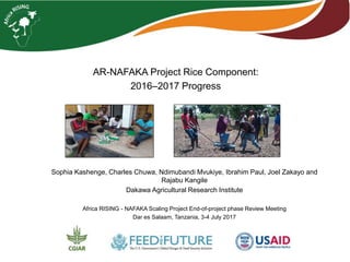 AR-NAFAKA Project Rice Component:
2016–2017 Progress
Sophia Kashenge, Charles Chuwa, Ndimubandi Mvukiye, Ibrahim Paul, Joel Zakayo and
Rajabu Kangile
Dakawa Agricultural Research Institute
Africa RISING - NAFAKA Scaling Project End-of-project phase Review Meeting
Dar es Salaam, Tanzania, 3-4 July 2017
 