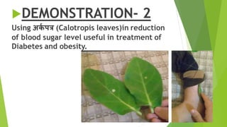 Ark(calotropis) - by aishwarya katara | PDF