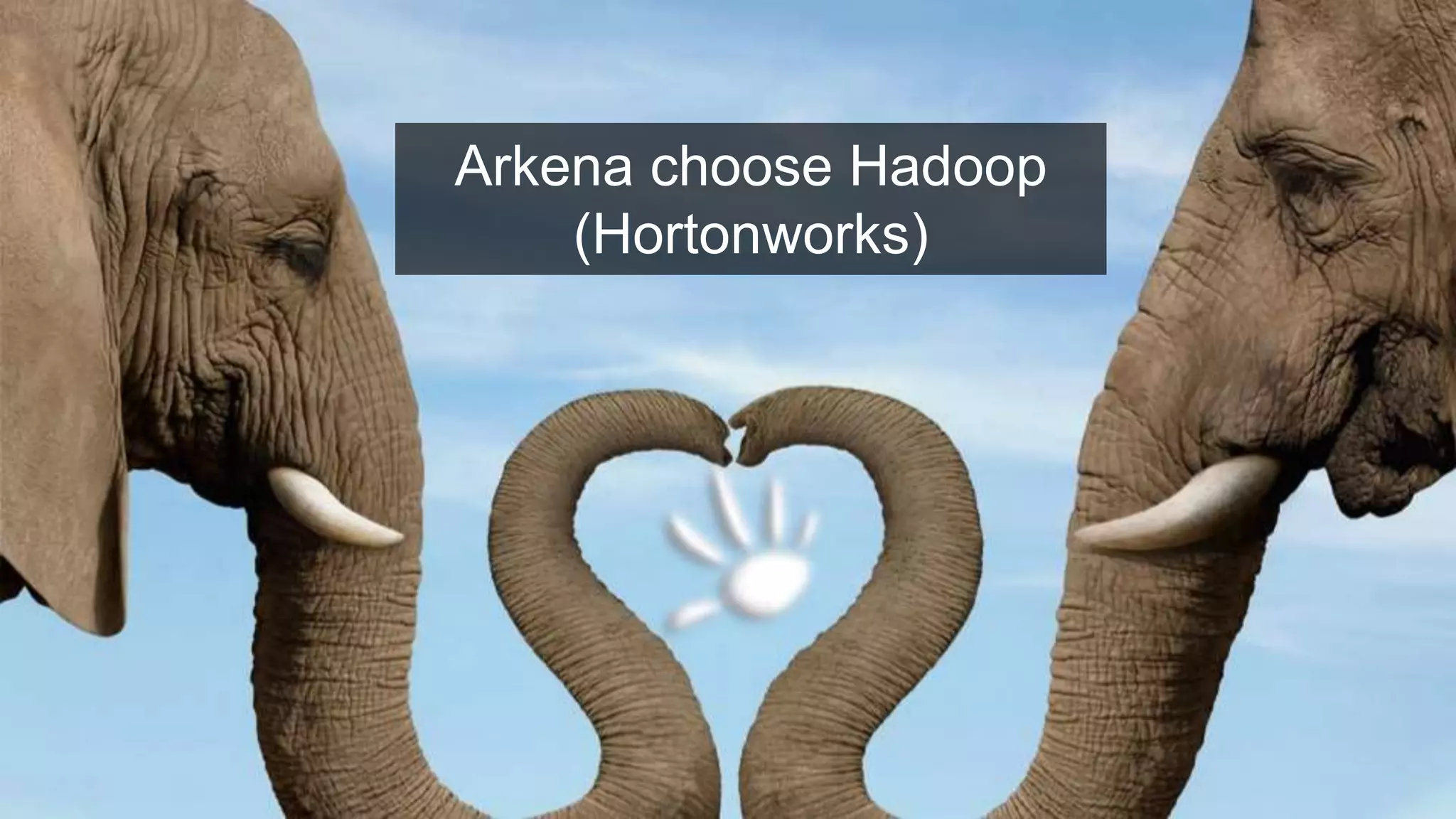 Arkena choose Hadoop
(Hortonworks)
 