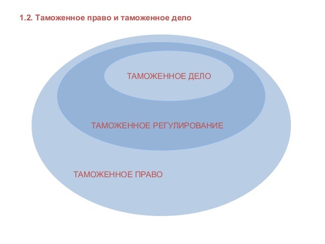 Конспект Лекций По Таможенному Праву Скачать