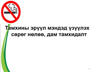 Тамхины эрүүл мэндэд үзүүлэх
сөрөг нөлөө, дам тамхидалт
24
 