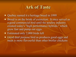 Ark of Taste Quebec named it a heritage breed in 1999 Breed is on the brink of extinction.  It once served as a good commercial bird until the poultry industry created today's "high performance hybrids," which grow fast and pump out eggs. Estimated only 2,000 birds left Good dual purpose bird as produces good eggs and meat is more flavourful than other broiler chickens 