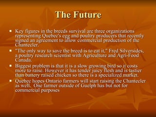 The Future Key figures in the breeds survival are three organizations representing Quebec's egg and poultry producers that recently signed an agreement to allow commercial production of the Chantecler.  "The only way to save the breed is to eat it," Fred Silversides, a poultry research scientist with Agriculture and Agri-Food Canada. Biggest problem is that it is a slow growing bird so it costs more to raise. However it has tender juicy flesh and is tastier than battery raised chicken so there is a specialized market. Quebec hopes Ontario farmers will start raising the Chantecler as well.  One farmer outside of Guelph has but not for commercial purposes 