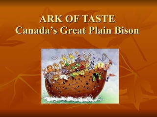 ARK OF TASTE Canada’s Great Plain Bison 