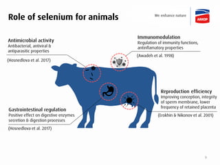 Selenium bio-fortification of forage crops for improving animal & human ...
