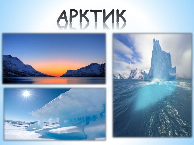 Arktik