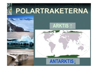 POLARTRAKETERNA

        ARKTIS ↑




       ANTARKTIS↓
 