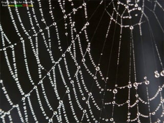 Graphic bought for illustration
 from www.dreamsTIME.com
 