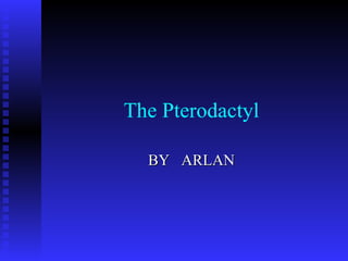 The Pterodactyl BY  ARLAN 