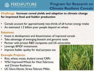 The feed the future initiative and research strategy | PPTX