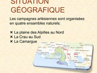 SITUATION
GÉOGRAFIQUE
Les campagnes arlésiennes sont organisées
en quatre ensambles naturels:
 La plaine des Alpilles au Nord
 La Crau au Sud
 La Camargue
 