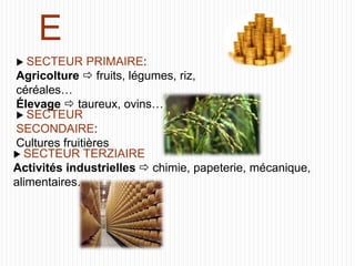 E
 SECTEUR PRIMAIRE:
Agricolture  fruits, légumes, riz,
céréales…
Élevage  taureux, ovins…
 SECTEUR
SECONDAIRE:
Cultures fruitières
 SECTEUR TERZIAIRE
Activités industrielles  chimie, papeterie, mécanique,
alimentaires…
 