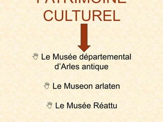 PATRIMOINE
CULTUREL
 Le Musée départemental
d’Arles antique
 Le Museon arlaten
 Le Musée Réattu
 