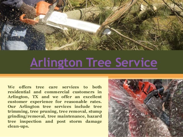 Arlington tree service