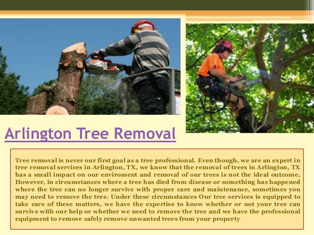 Arlington tree service