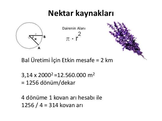 Arilik Yerinin Secimi