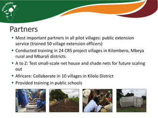 AR-NAFAKA Project Vegetable Component: 2016–2017 Progress