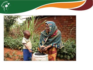 AR-NAFAKA Project Vegetable Component: 2016–2017 Progress