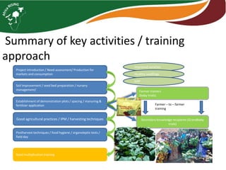 AR-NAFAKA Project Vegetable Component: 2016–2017 Progress