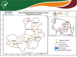 AR-NAFAKA Project Vegetable Component: 2016–2017 Progress