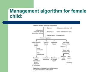 Management algorithm for female
child:
 