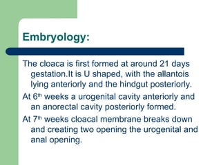 Embryology:
The cloaca is first formed at around 21 days
gestation.It is U shaped, with the allantois
lying anteriorly and the hindgut posteriorly.
At 6th
weeks a urogenital cavity anteriorly and
an anorectal cavity posteriorly formed.
At 7th
weeks cloacal membrane breaks down
and creating two opening the urogenital and
anal opening.
 