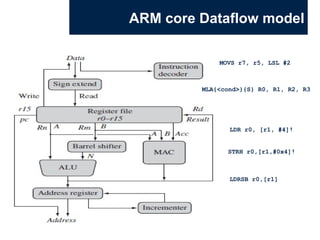 ARM.pptfwefewfewfewfewfewfefewfrewfwefwrf | PPT