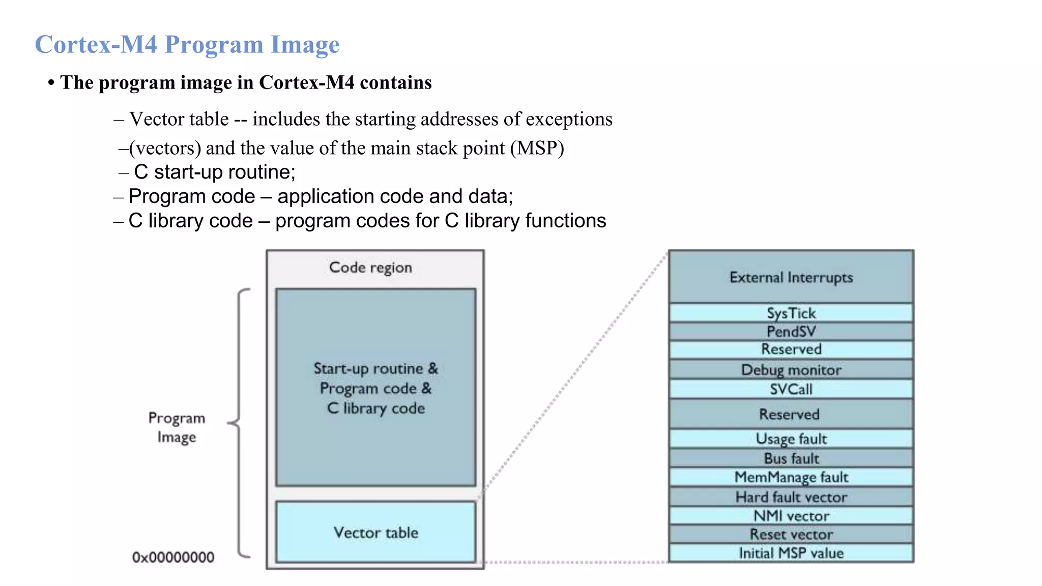 Cortex-M4 Program Image • The program image in Cortex-M4 contains – Vector table -- includes the starting addresses of exceptions –(vectors) and the value of the main stack point (MSP) – C start-up routine; – Program code – application code and data; – C library code – program codes for C library functions 