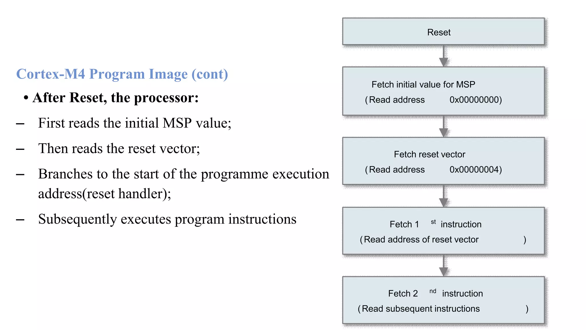 Cortex-M4 Program Image (cont) • After Reset, the processor: – First reads the initial MSP value; – Then reads the reset vector; – Branches to the start of the programme execution address(reset handler); – Subsequently executes program instructions Reset Fetch initial value for MSP 0x00000000)(Read address Fetch reset vector (Read address 0x00000004) Fetch 1 st instruction (Read address of reset vector ) Fetch 2 nd instruction (Read subsequent instructions ) 