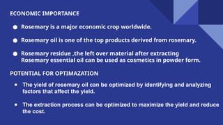 Design Process Rosemary Rosemary cultivation business development | PPTX