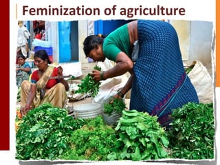 Gender, Nutrition and Health: Achievements and key insights