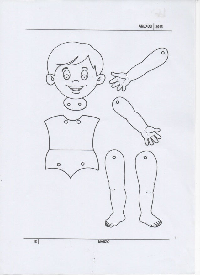 Armables Cuerpo Humano Armables Cuerpo Humano