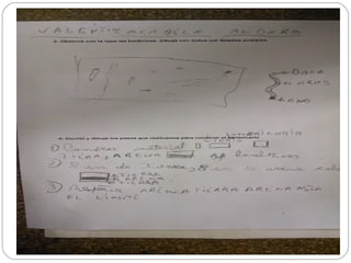 Armado de lumbricario