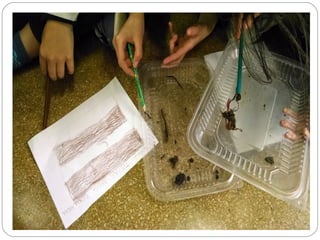 Armado de lumbricario