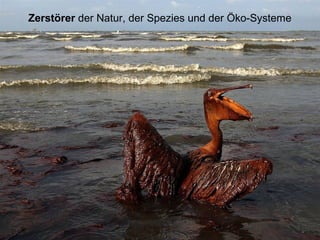 Zerstörer der Natur, der Spezies und der Öko-Systeme
 