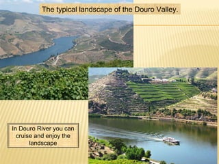 The typical landscape of the Douro Valley.
In Douro River you can
cruise and enjoy the
landscape
 