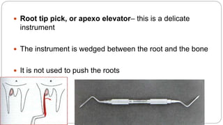  Root tip pick, or apexo elevator– this is a delicate
instrument
 The instrument is wedged between the root and the bone
 It is not used to push the roots
 