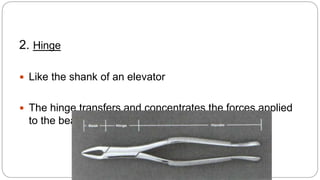 2. Hinge
 Like the shank of an elevator
 The hinge transfers and concentrates the forces applied
to the beaks.
 
