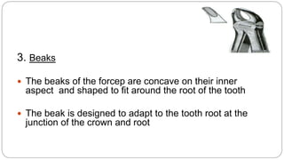 3. Beaks
 The beaks of the forcep are concave on their inner
aspect and shaped to fit around the root of the tooth
 The beak is designed to adapt to the tooth root at the
junction of the crown and root
 