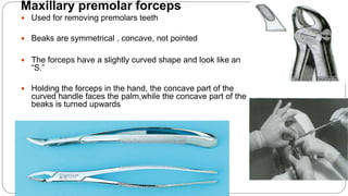 Maxillary premolar forceps
 Used for removing premolars teeth
 Beaks are symmetrical , concave, not pointed
 The forceps have a slightly curved shape and look like an
“S.”
 Holding the forceps in the hand, the concave part of the
curved handle faces the palm,while the concave part of the
beaks is turned upwards
 