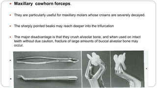  Maxillary cowhorn forceps.
 They are particularly useful for maxillary molars whose crowns are severely decayed.
 The sharply pointed beaks may reach deeper into the trifurcation
 The major disadvantage is that they crush alveolar bone, and when used on intact
teeth without due caution, fracture of large amounts of buccal alveolar bone may
occur.
 